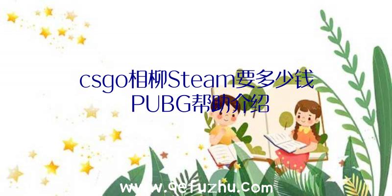 csgo相柳Steam要多少钱